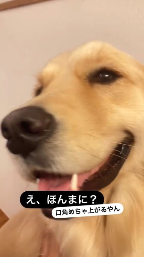 提供：エマさん