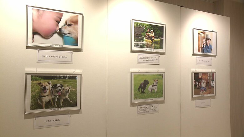 写真展のようす