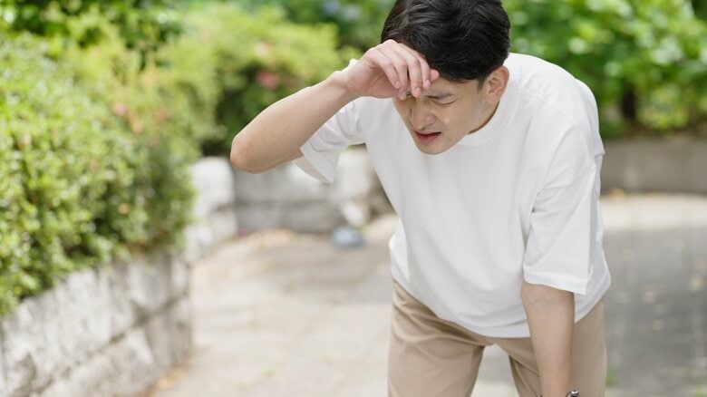 （画像はイメージ）