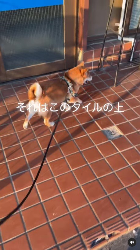 提供：kurararara4466さん