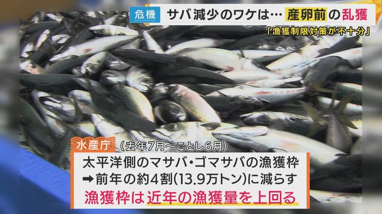 水産庁は漁獲枠を減らしたものの…