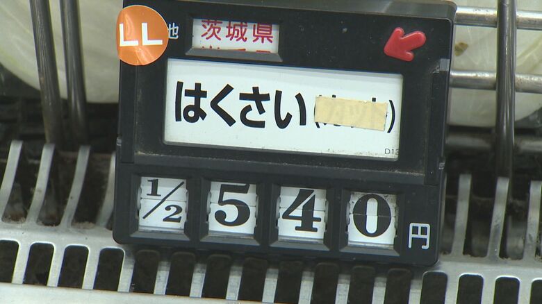 白菜の価格は1月の約2倍に…
