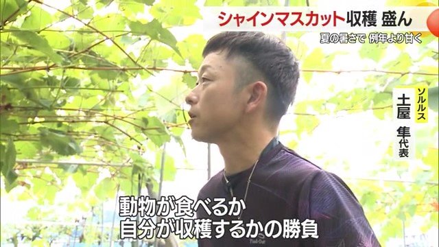 山の中にある畑だから仕方がない…と、動物との共存を覚悟している