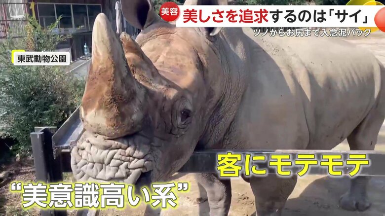 美意識高い系で人なつっこく、お客さんにもモテモテのモランくん