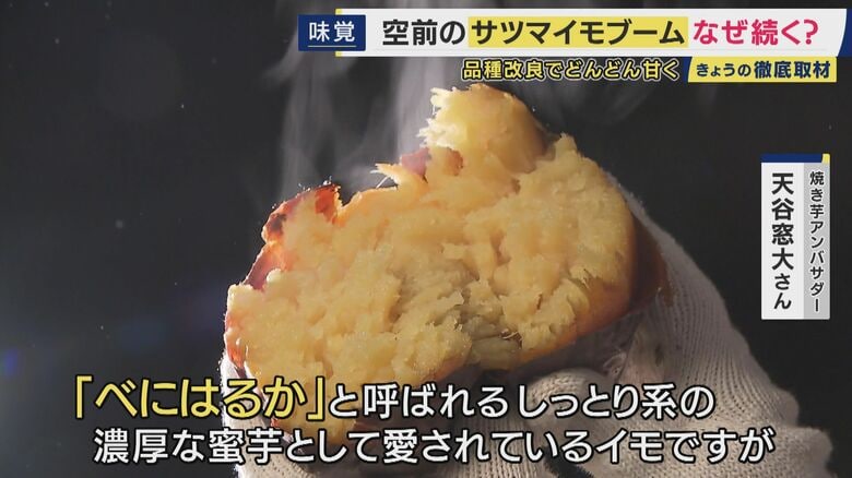2000年代初頭に誕生した「べにはるか」