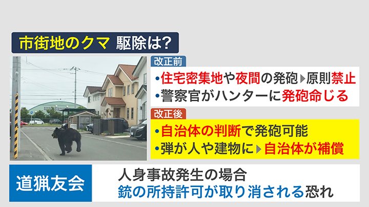 市街地のクマ 駆除は？