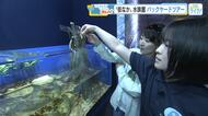 広島もとまち水族館のバックヤードツアー！　街なか水族館ならではの裏側とは？　楽しく学んで特別な体験も