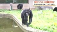 敬老の日に長寿のチンパンジー夫婦をお祝い　特別なプレゼントでますます元気な姿を見せる　秋田市