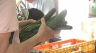 キュウリ高騰…8月は高止まり続くか　気温急上昇で生育不良が懸念