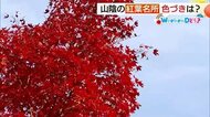 【WeekenDどう？】山陰の紅葉スポット見ごろはいつ？ドライブがてら調べてみました（島根・鳥取）