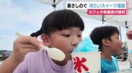 道の駅で「涼」感じるイベント　カフェ・茶農家が冷たいスイーツ提供