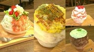 かき氷の「常識」が溶ける夏　鹿児島に広がる新時代のかき氷
