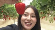 1パック900円が650円に…「イチゴ」“異常な高値”から一転“お買い得”に　3月に降った雪が“寒暖差”生む良い影響