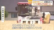 「ノリに続いて二条大麦でも日本一を」佐賀の二条大麦が春先の水不足と天候不順乗り越え収穫へ【佐賀県】