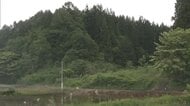 羽後町西馬音内の山林、80代女性がクマに襲われけが　山菜採りで2頭と遭遇　今年2件目の人身被害　秋田