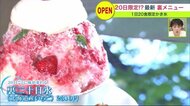 100日限定！ 行列必至のかき氷店　フレンチシェフが開発した「濃厚抹茶」「森の木苺」…裏メニューも【北海道発】