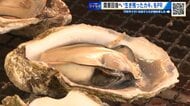 生き残りの牡蠣で『かき祭り』！ 「大打撃でも下を向いていられない…やってよかった！」　広島・廿日市市