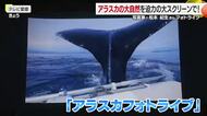 アラスカに魅せられ３０年　写真家・松本紀生さんが地元・松山でフォトライブ　親子連れら感動【愛媛】