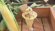 札幌から車で30分 2万本の「ひまわり畑」　“朝採りとうもろこし”のパフェも【北海道発】