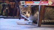有名ミュージシャンが集う喫茶店の