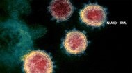 新型コロナ 東京都で新たに15人の感染確認