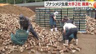 「国や県の支援は十分ではなかった」県内のブナシメジ生産量約7割を占める大手2社が廃業　2024年の豪雨受け【山形発】
