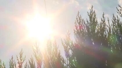 酷暑日に迫る勢い　広島・府中市で「３９・５℃」　危険な暑さがピーク　