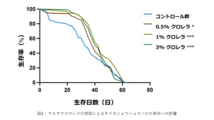 ヤエヤマクロレラの摂取で発生促進と健康寿命の延伸を確認しました