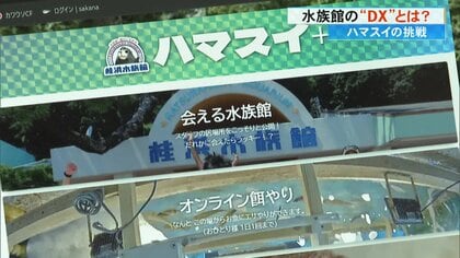 “なんか変わるで桂浜水族館”　デジタル化をオンライン餌やりや飼育員の居場所確認に活用　生き物や飼育員の推し活に