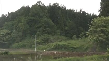 羽後町西馬音内の山林、80代女性がクマに襲われけが　山菜採りで2頭と遭遇　今年2件目の人身被害　秋田