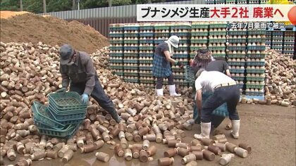 「国や県の支援は十分ではなかった」県内のブナシメジ生産量約7割を占める大手2社が廃業　2024年の豪雨受け【山形発】