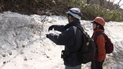 【大倉山近くの住宅街で“クマのような”動物】体長1.5m～2mほどの動物の目撃情報が相次ぐ＿市が現地調査に入るも「シカの足跡」以外の痕跡は見つからず〈北海道札幌市〉