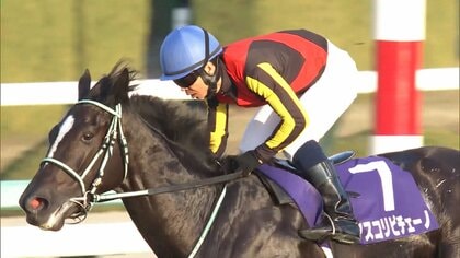 ​【阪神ジュベナイルフィリーズ・ＧⅠ】注目は無敗の女王を目指すブラウンラチェット　史上初の外国馬メイデイレディも参戦！　2歳女王の座を手にするのは…