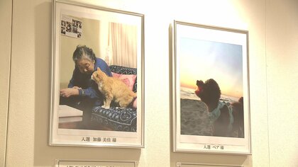 「写真で癒やされてにゃ～」猫や犬の様々な姿とらえた写真展 “動物との向き合い方”考える機会に【秋田発】