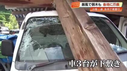 一夜明け、台風6号の“爪痕”があらわに　倉庫崩壊で車3台下敷き、道路冠水でスッポン泳ぐ姿も【高知】