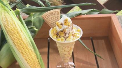 札幌から車で30分 2万本の「ひまわり畑」　“朝採りとうもろこし”のパフェも【北海道発】