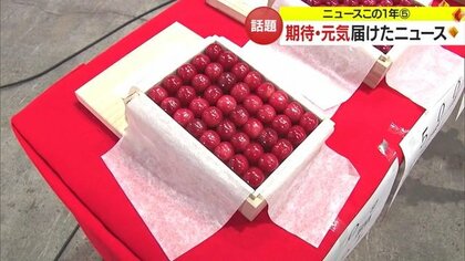 “日本一”のラーメンや全国新酒鑑評会で栄冠　景気良いスタートを切った2023年は明るい話題満載【山形発】