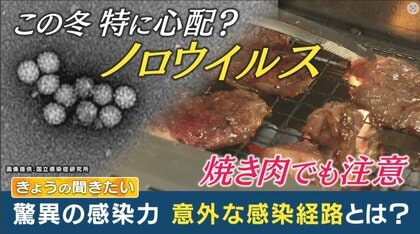 ノロウイルスによる食中毒の約7割が“冬”に発生　過去の集団感染で死者も「ノロノロせずさっさと拭き取るのが有効な対策」と専門家