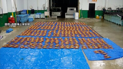 毛ガニ807匹を密漁か　漁師の親子3人を逮捕　海上保安部が調べていた倉庫に毛ガニ運び込み発覚　北海道・森町