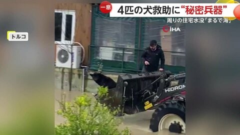 「大至急ここから救助しないと！」豪雨で水没した住宅に取り残された4匹の犬　近隣住民が“重機”使い無事救出　トルコ