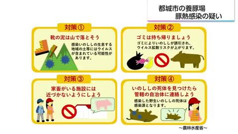 都城市の養豚場で豚熱の疑い　家畜伝染病・豚熱とは