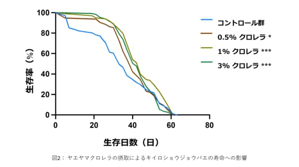 ヤエヤマクロレラの摂取で発生促進と健康寿命の延伸を確認しました