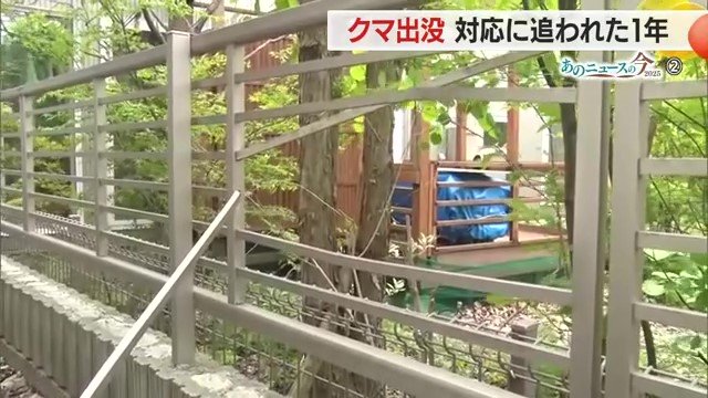 その隣の家のフェンス。クマによって壊された可能性が高いという