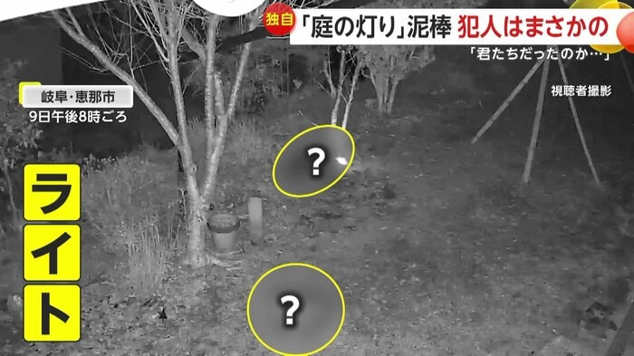 ライトを持って駆け回る“窃盗犯”