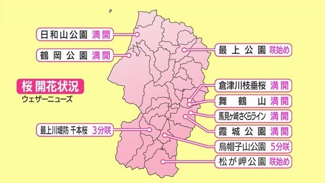 県内でもまだ咲き始めのところもあり、長くサクラを楽しめそう