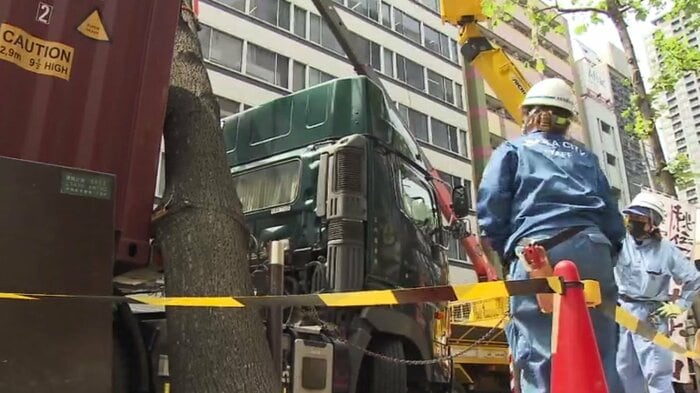 街路樹倒れトラックにあたる