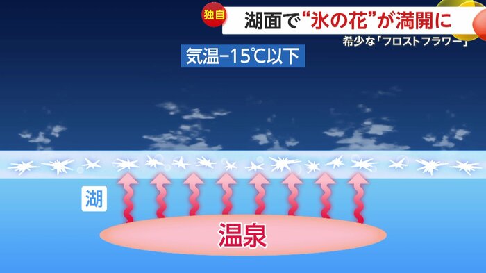阿寒湖でフロストフラワーが発生する仕組み(イメージ画像)