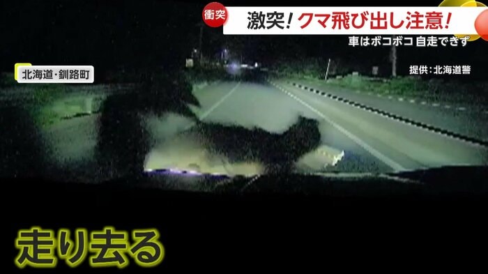 衝突する寸前のクマ