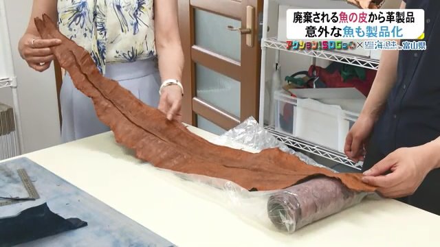 1匹そのまま アナゴもフィッシュレザーに
