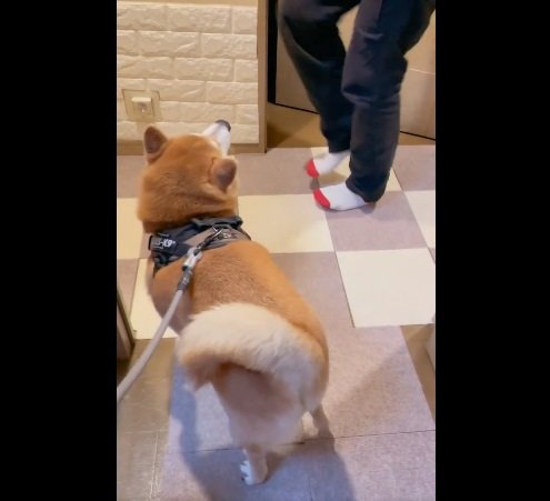 足踏みを再開したものの、どこか控え目なステップに…